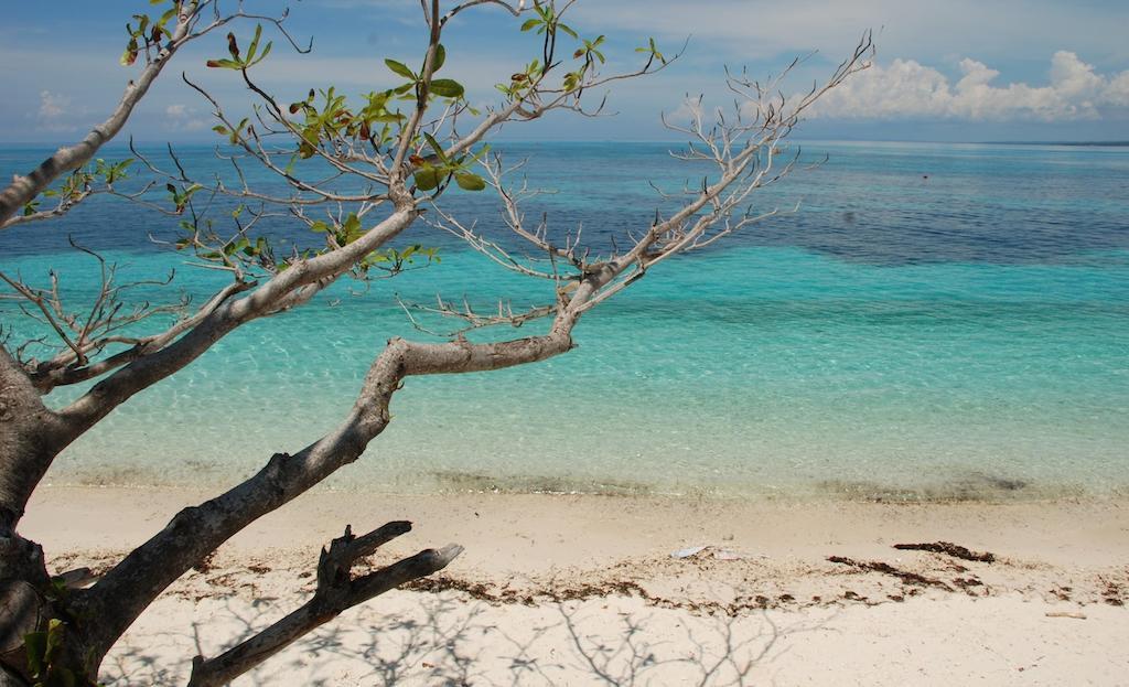 Malapascua Legend Water Sports And Resort Exterior photo